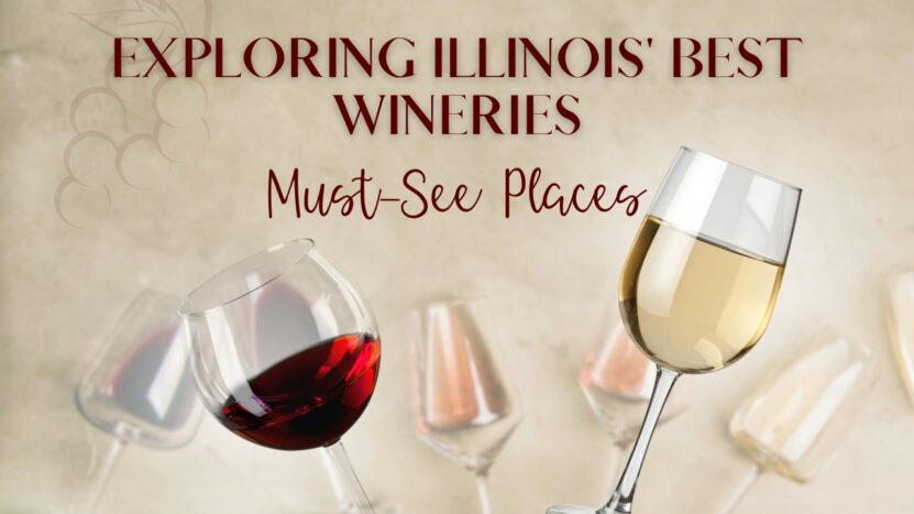 Exploring Illinois' Best Wineries